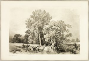公園と森より アベレとオーク 作： James Duffield Harding