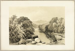 アッシュ、シカモア、オーク、「公園と森」より 作： James Duffield Harding