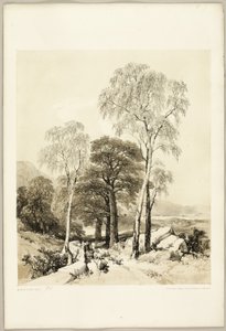 公園と森からのバーチとオーク 作： James Duffield Harding