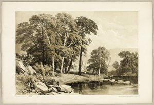 公園と森のブラックポプラ 作： James Duffield Harding
