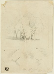 木の塊 作： James Duffield Harding