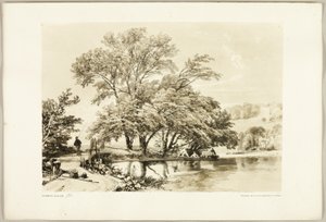 一般的な柳、公園と森から 作： James Duffield Harding