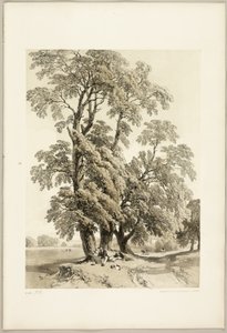 公園と森のニレ 作： James Duffield Harding