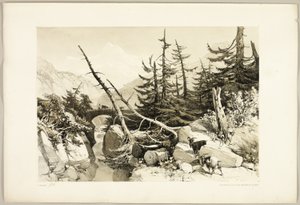 公園と森のカラマツ 作： James Duffield Harding
