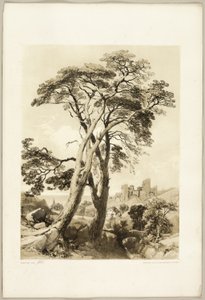 「公園と森」のスコッチファー 作： James Duffield Harding