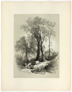 ピクチャースク・セレクションより、デボン州シプリー・ブリッジ 作： James Duffield Harding