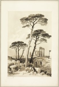 『公園と森』よりストーン・パインズ 作： James Duffield Harding