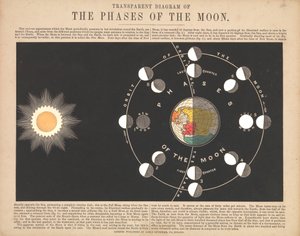 透明な月の満ち欠け図 作： James & Emslie John (1813 75) Reynolds