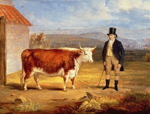 ジェームズホッジス氏と2歳のヘレフォードヘイファー、1843年頃 作： James Flewitt Mullock
