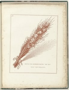 1795年オランダ国民暫定代表の惨劇 オランダ国民代表の一部 (オブジェクトのタイトル) Hollandia Regenerata (シリーズタイトル)