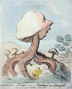 エクスクレセンス;真菌;エイリアス-糞の丘の上の毒キノコ、1791年にハンナハンフリーによって公開（wcでエッチング）
