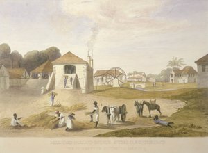 Mill Yard、Holland Estate、St. Thomas in the East 作： James Hakewill
