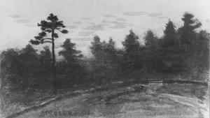 McGuire Scrapbook の風景、1908 年。 作： James Henry Moser