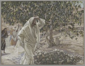 呪われたイチジクの木、私たちの主イエス・キリストの生涯のイラスト、1886-94（紙の黒鉛の上にトイレ）