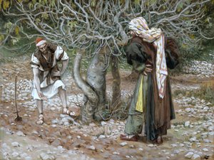 不毛のイチジクの木、「キリストの生涯」のイラスト、1886-94年（板紙にトイレとガッシュ） 作： James Jacques Joseph Tissot