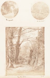 アプローチ、森の中、湖畔、1853-56年。