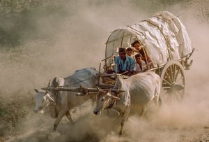 カソンの満月の日を飾る牛車レース。ビルマ、マンダレーの東に位置するパテインギー。 作： James L Stanfield