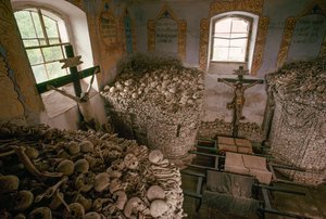 18世紀のオーストリアとプロイセンの戦争で出土した人骨。チェコ、ニズコフ