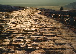 石灰岩の古代ローマ街道と平行する現代のマカダム道路。シリア、アレッポ近郊。