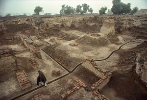 レンガ造りの壁、レンガ造りの井戸の跡で埋め尽くされた竪穴の概観。HARAPPA E... 作： James L Stanfield