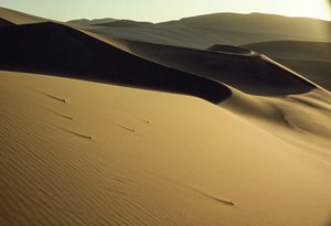 敦煌近郊の鋭く切り立った影の砂丘。中華人民共和国甘粛省。 作： James L Stanfield