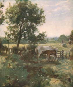 19世紀後半から20世紀初頭にかけての夏、c1930。 作： James Lawton Wingate