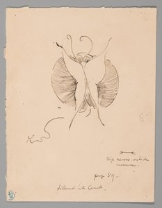 蝶（レクト）；蝶の断片（裏面） 作： James McNeill Whistler