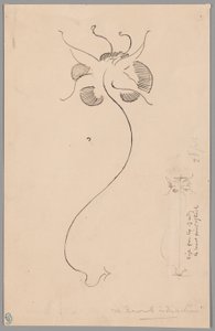 蝶（レクト）；蝶の習作（裏面） 作： James McNeill Whistler