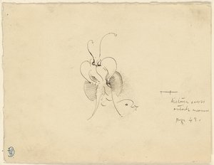 バタフライ 作： James McNeill Whistler
