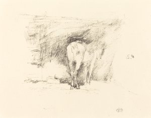 馬の研究