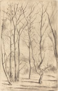 ダムウッド 作： James Abbott McNeill Whistler