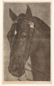 手綱をつけた馬の頭 作： James Newman Hodges