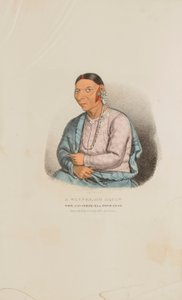 ウィネベーゴの女性、オチェック・カの妻（アボリジニのポートフォリオより 作： James Otto Lewis