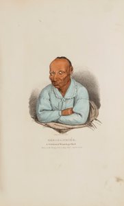 アボリジナル・ポートフォリオより「ウィネベーゴの名族長、カー・オ・メニー 作： James Otto Lewis
