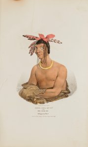 MISH-SHA-QUAT、あるいは澄み渡る空；チッペイウェイの酋長（アボリジナル・ポートフォリオより 作： James Otto Lewis