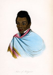 マダガスカル出身、c1850。 作： James Prichard