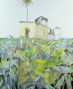 沼の廃墟、ハイチ、1971