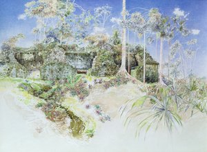 台無しにされた寺院、ティカル、グアテマラ、1984（紙にトイレ） 作： James Reeve