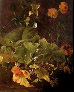 ドックの葉と他の花、1820年頃 作： James Sillett