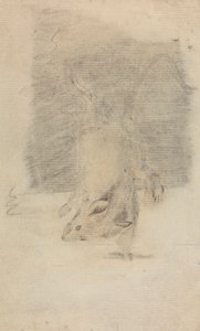 ネズミ 作： James Sowerby