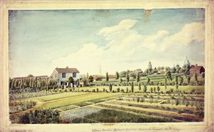 ウィリアムカーティスの植物園、ランベスマーシュ、アンテ1787年、1787年頃