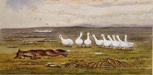 A Game of Fox and Geese 作： James W. Usher