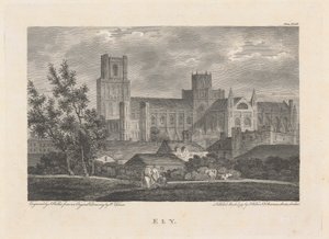 Ely 作： James Walker