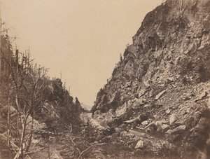 ホワイト・マウンテン・ノッチの頭部、クロフォード・ハウス、1854年
