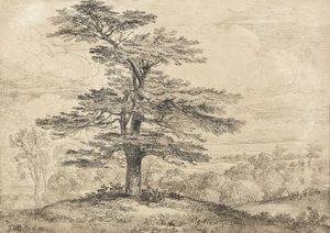その陰の下にグループ化された鹿の群れを持つ上昇中の杉 作： James Ward