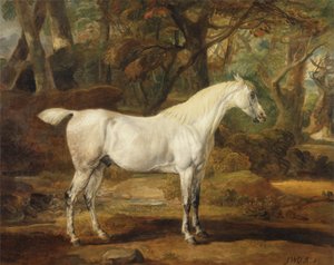 灰色のアラビアンスタリオン、ワトキンウィリアムズウィン卿の所有物、1815年から20年頃（キャンバスに油彩） 作： James Ward