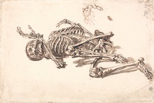 人間の骨格 作： ジェームズワード