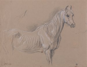 牝馬：テート・ギャラリーに所蔵されている1827年制作の「L