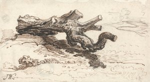 地面に木の幹 作： James Ward