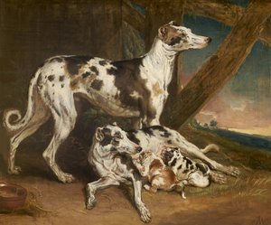 ダルメシアン犬 作： James Ward